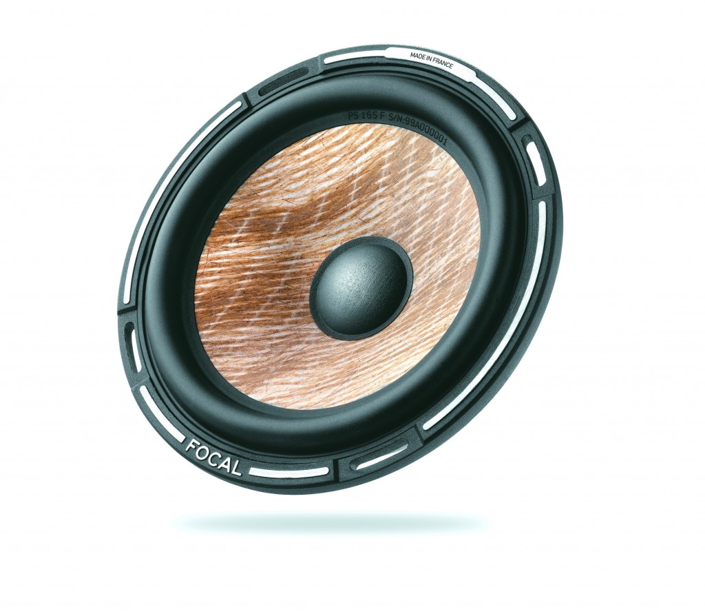 Focal Flax cone
