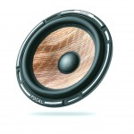 Focal Flax cone