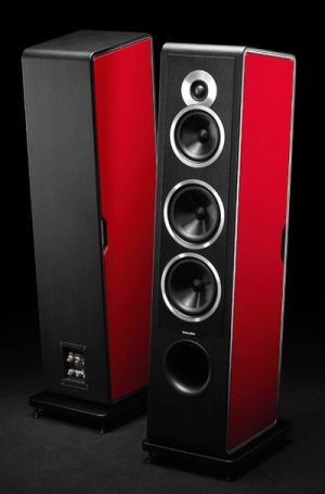 Sonus Faber Chameleon T speakers.