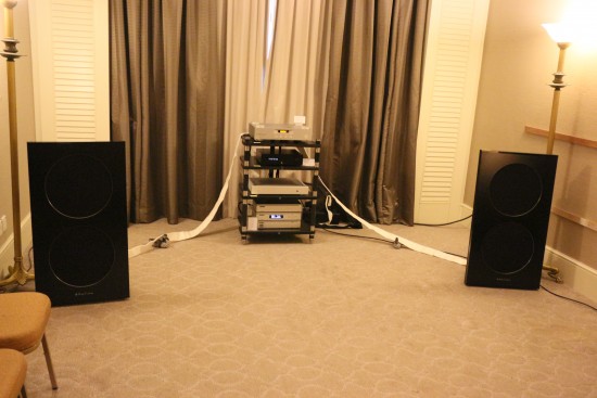 The Spatial open-baffle speakers with Crayon amp, Clones DAC and SOTM music server.