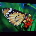 benq3